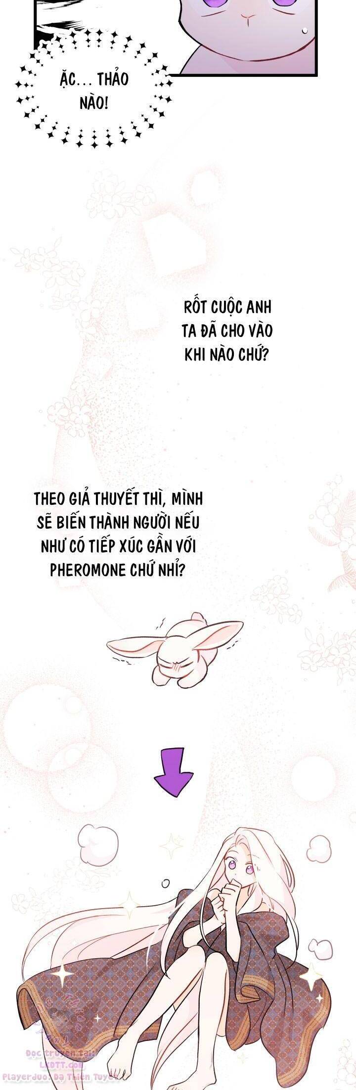 Mối Quan Hệ Cộng Sinh Giữa Báo Đen Và Thỏ Trắng - Chap 22 - Trang 22