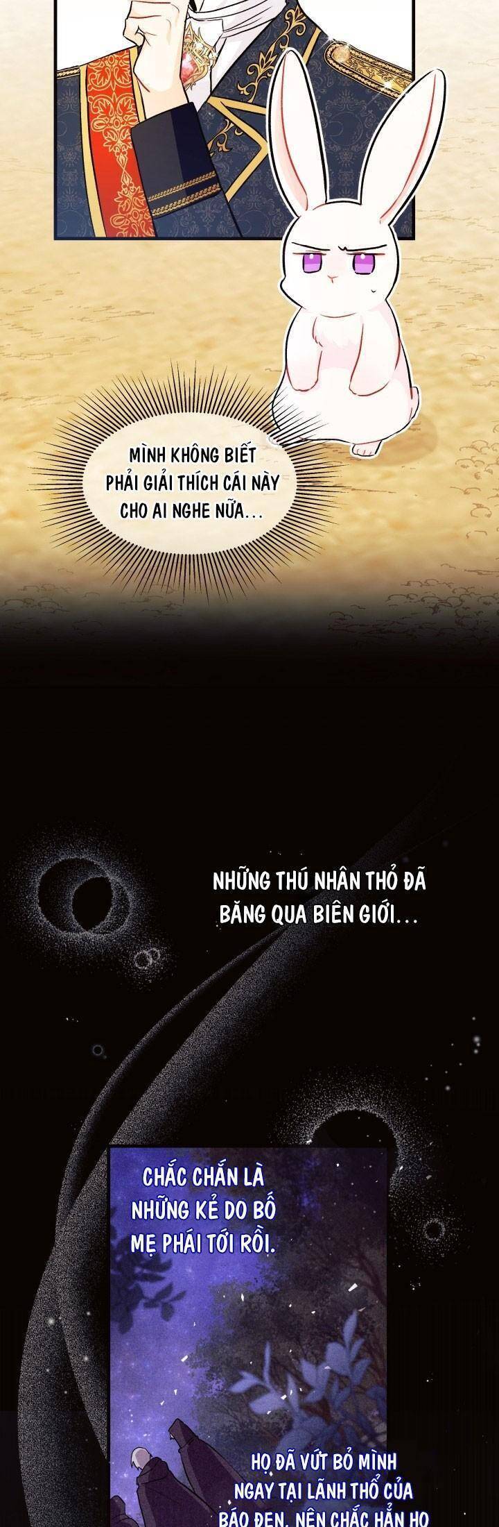 Mối Quan Hệ Cộng Sinh Giữa Báo Đen Và Thỏ Trắng - Chap 22 - Trang 31