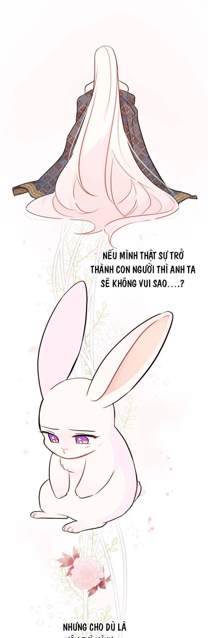 Mối Quan Hệ Cộng Sinh Giữa Báo Đen Và Thỏ Trắng - Chap 22 - Trang 35