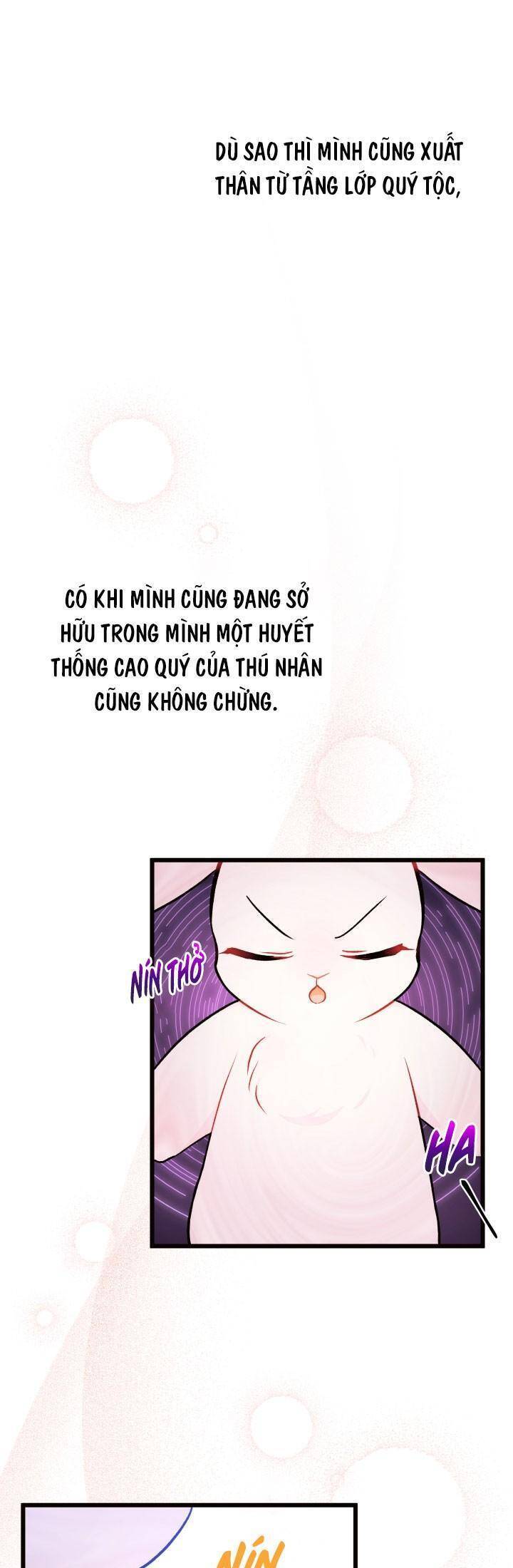 Mối Quan Hệ Cộng Sinh Giữa Báo Đen Và Thỏ Trắng - Chap 22 - Trang 39