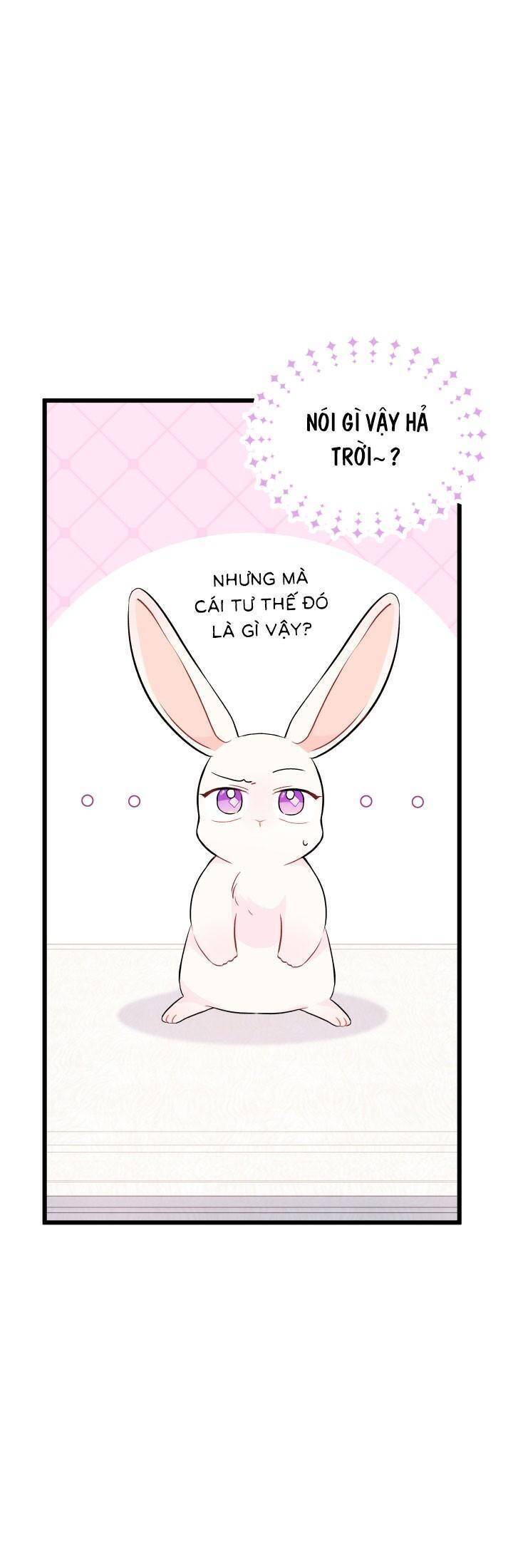 Mối Quan Hệ Cộng Sinh Giữa Báo Đen Và Thỏ Trắng - Chap 22 - Trang 7