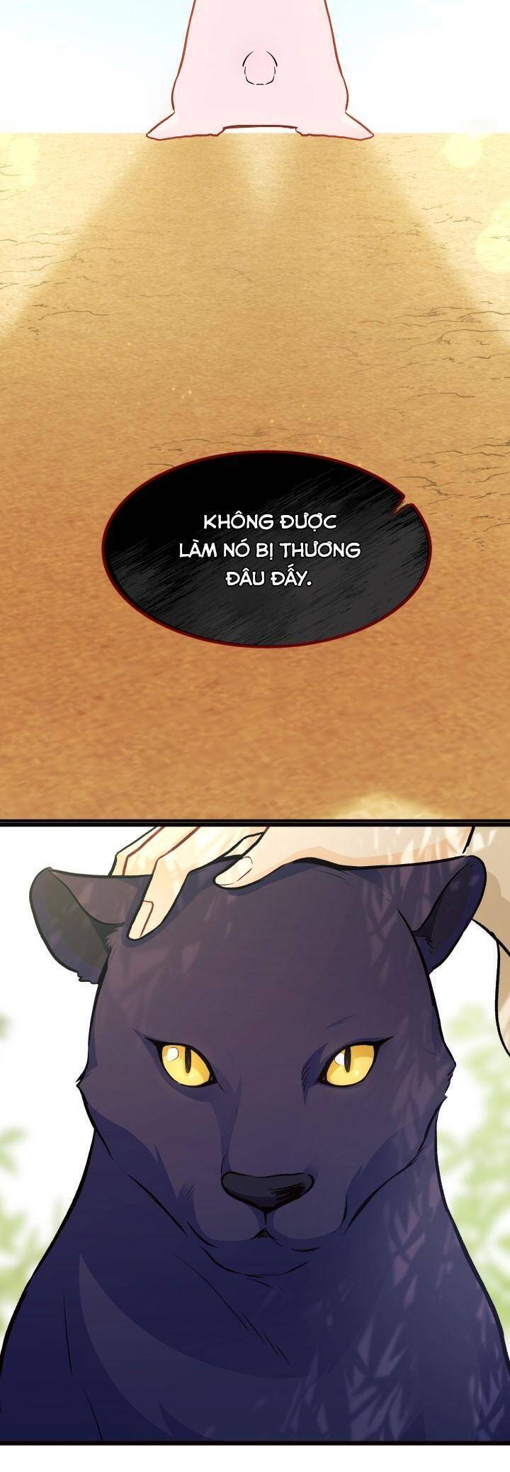 Mối Quan Hệ Cộng Sinh Giữa Báo Đen Và Thỏ Trắng - Chap 22 - Trang 63
