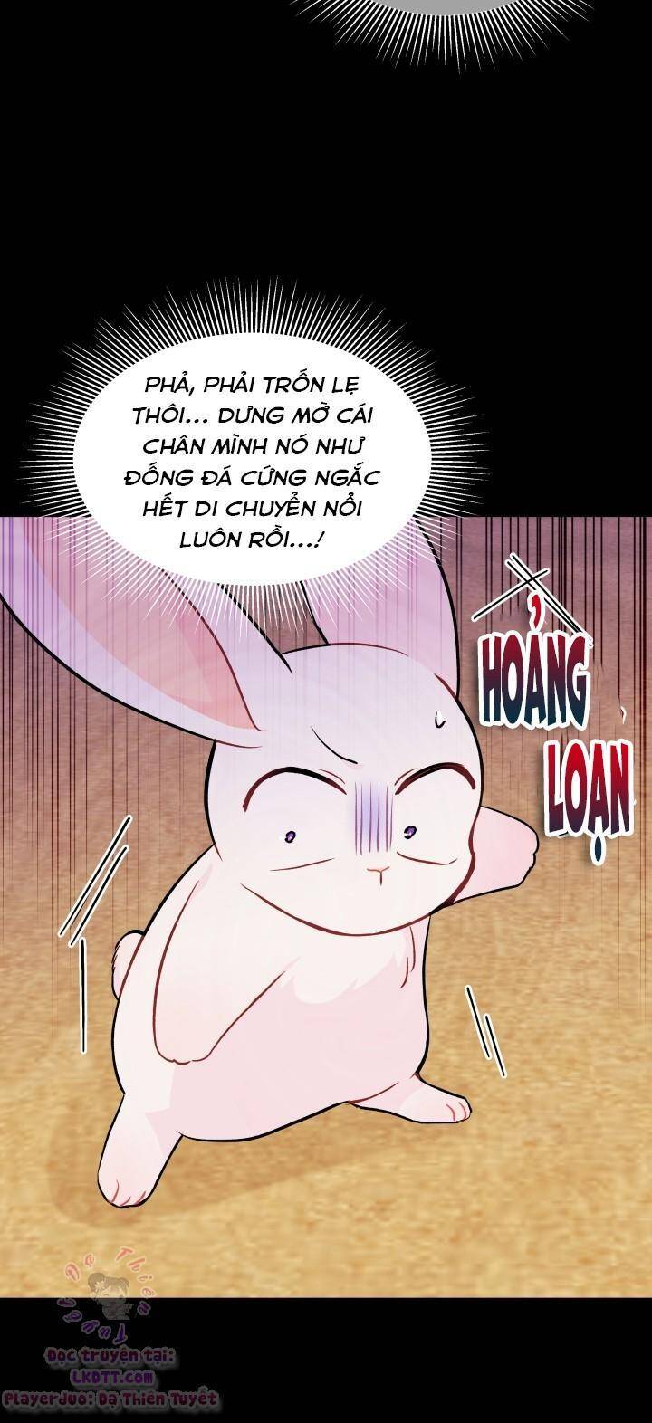 Mối Quan Hệ Cộng Sinh Giữa Báo Đen Và Thỏ Trắng - Chap 23 - Trang 17