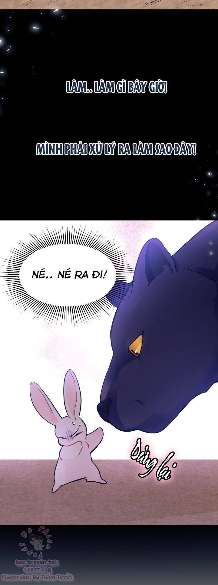 Mối Quan Hệ Cộng Sinh Giữa Báo Đen Và Thỏ Trắng - Chap 23 - Trang 20