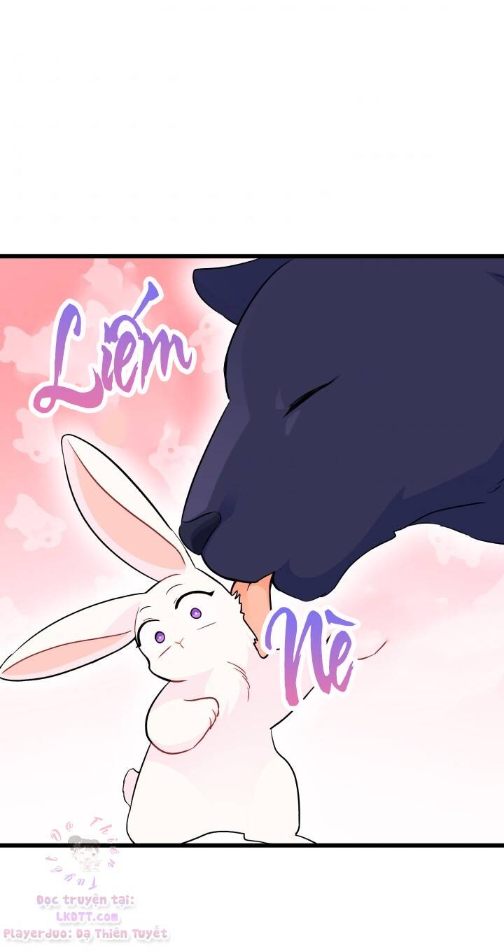Mối Quan Hệ Cộng Sinh Giữa Báo Đen Và Thỏ Trắng - Chap 23 - Trang 24