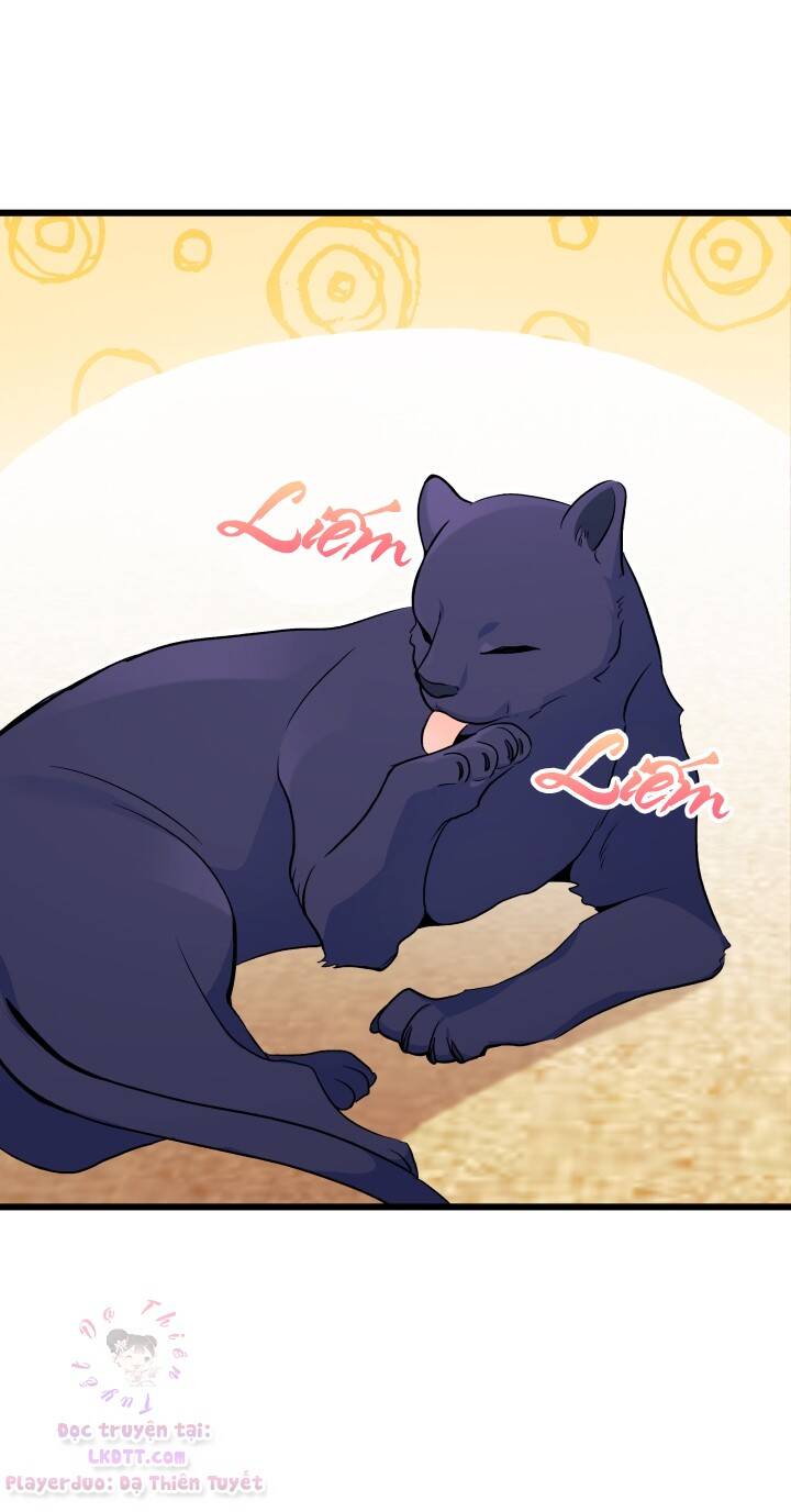Mối Quan Hệ Cộng Sinh Giữa Báo Đen Và Thỏ Trắng - Chap 23 - Trang 28