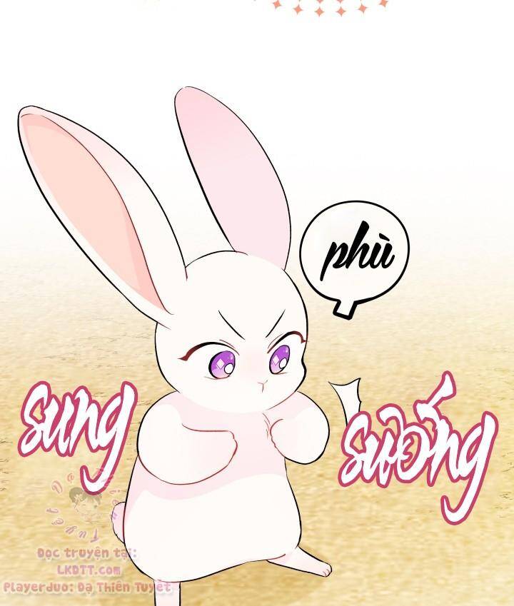 Mối Quan Hệ Cộng Sinh Giữa Báo Đen Và Thỏ Trắng - Chap 23 - Trang 8