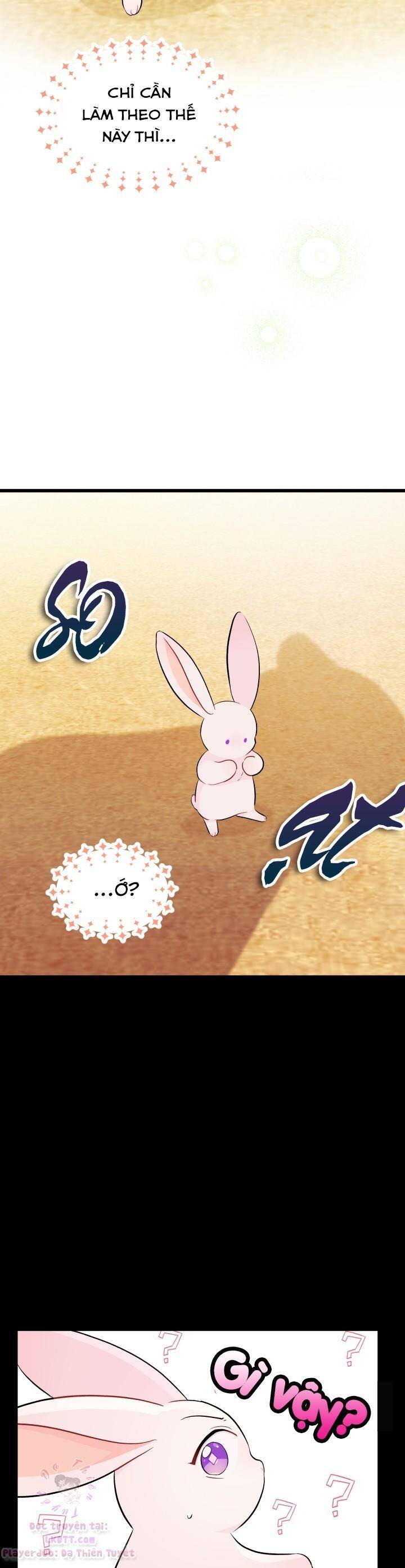 Mối Quan Hệ Cộng Sinh Giữa Báo Đen Và Thỏ Trắng - Chap 23 - Trang 9