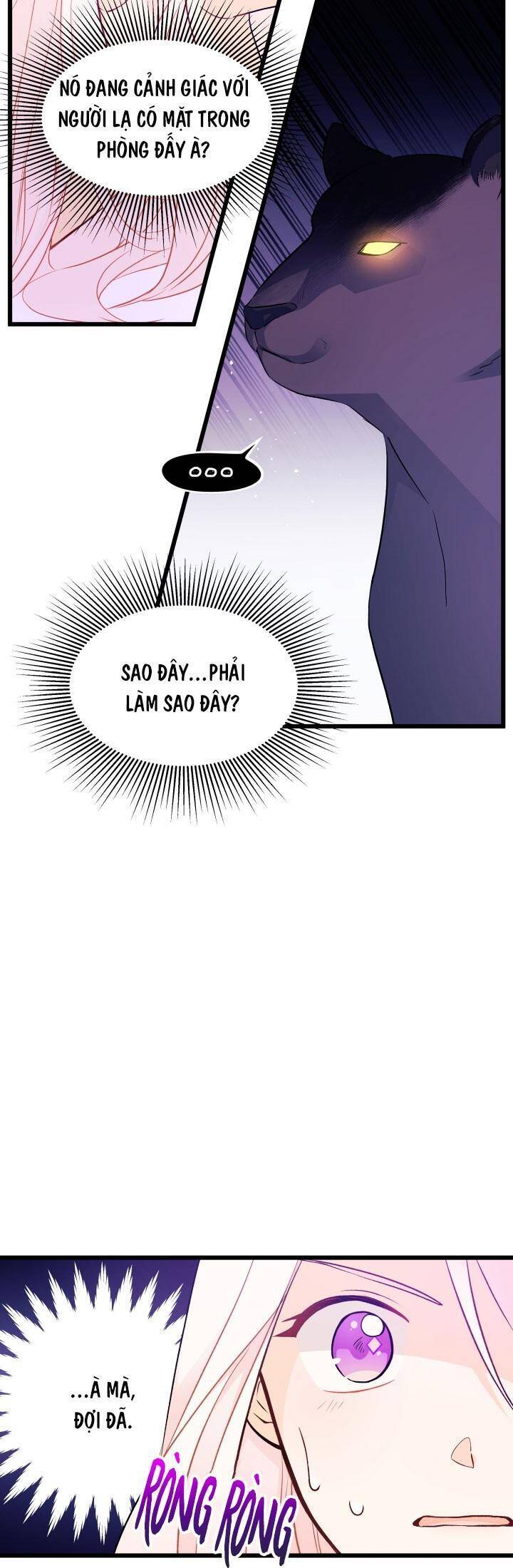 Mối Quan Hệ Cộng Sinh Giữa Báo Đen Và Thỏ Trắng - Chap 24 - Trang 13