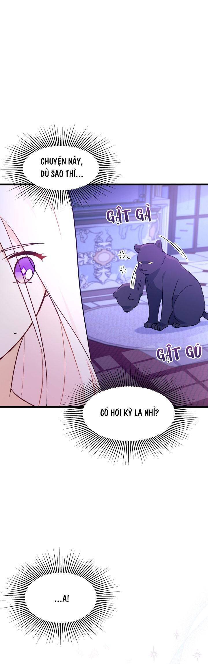 Mối Quan Hệ Cộng Sinh Giữa Báo Đen Và Thỏ Trắng - Chap 24 - Trang 29