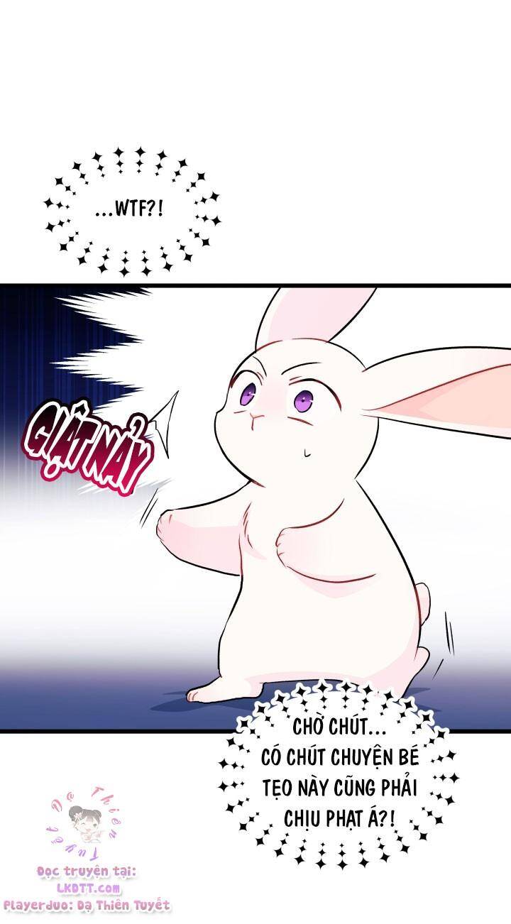 Mối Quan Hệ Cộng Sinh Giữa Báo Đen Và Thỏ Trắng - Chap 25 - Trang 26