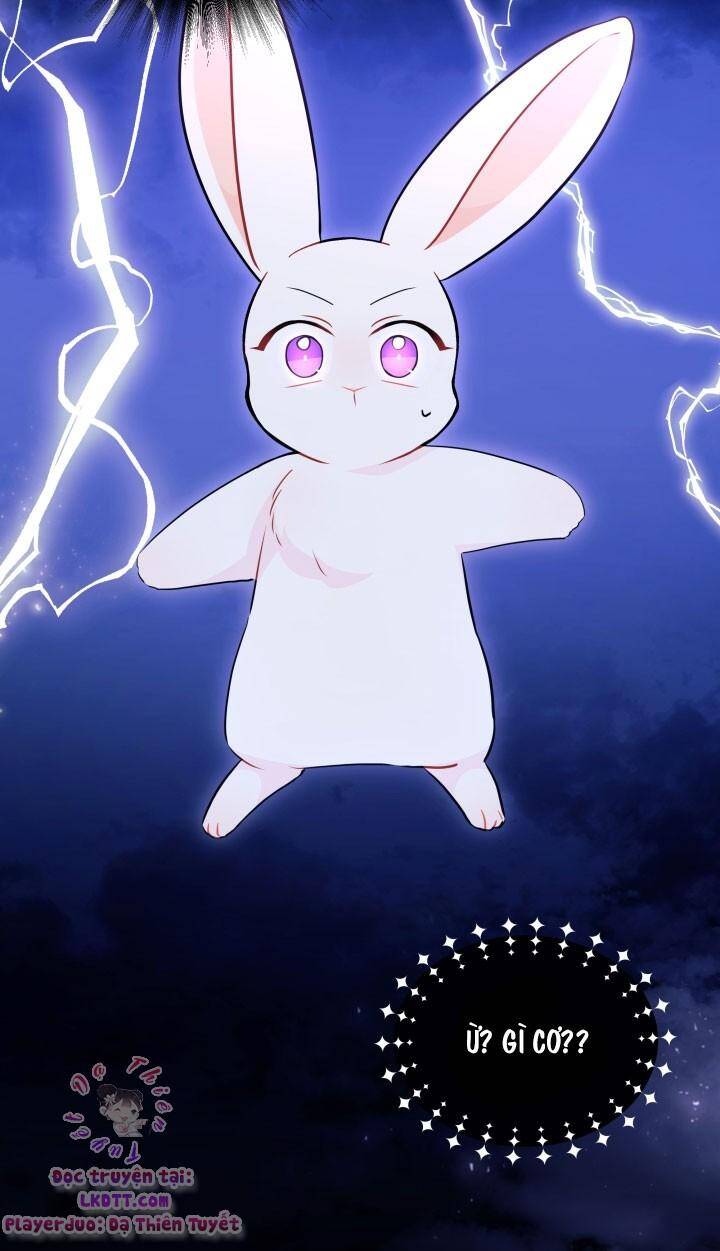 Mối Quan Hệ Cộng Sinh Giữa Báo Đen Và Thỏ Trắng - Chap 25 - Trang 8
