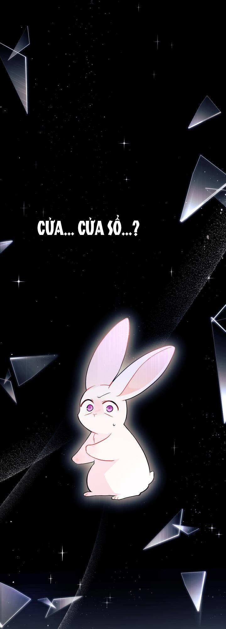 Mối Quan Hệ Cộng Sinh Giữa Báo Đen Và Thỏ Trắng - Chap 27 - Trang 38