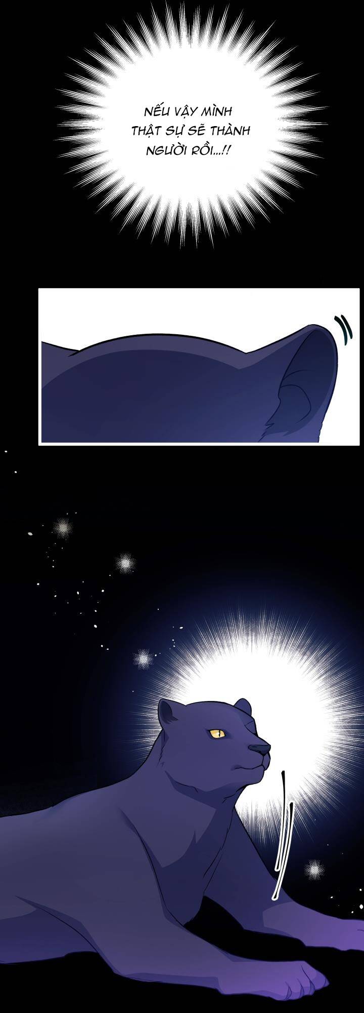 Mối Quan Hệ Cộng Sinh Giữa Báo Đen Và Thỏ Trắng - Chap 27 - Trang 54