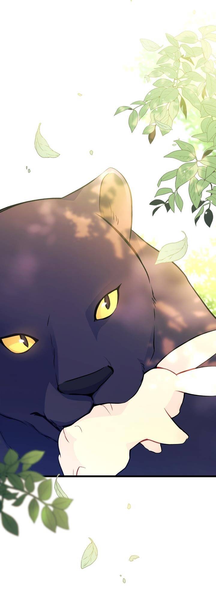 Mối Quan Hệ Cộng Sinh Giữa Báo Đen Và Thỏ Trắng - Chap 27 - Trang 61