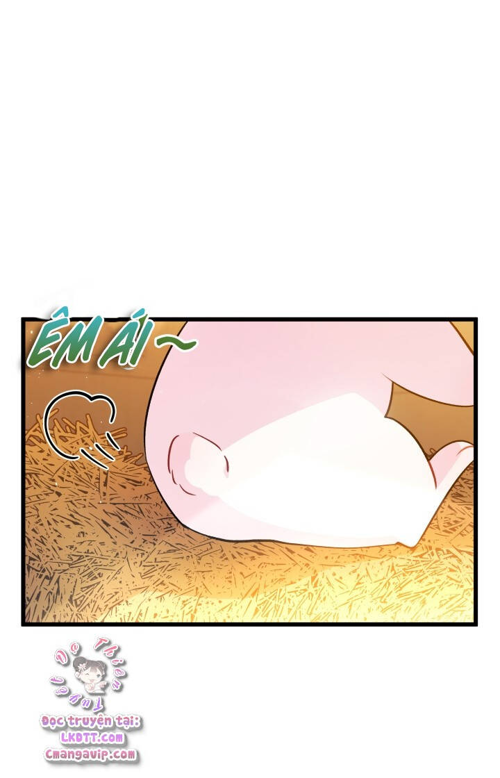 Mối Quan Hệ Cộng Sinh Giữa Báo Đen Và Thỏ Trắng - Chap 28 - Trang 12