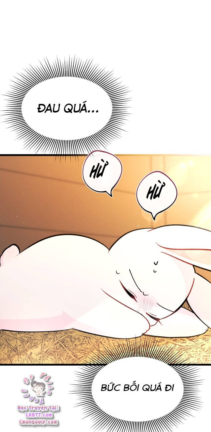 Mối Quan Hệ Cộng Sinh Giữa Báo Đen Và Thỏ Trắng - Chap 28 - Trang 13