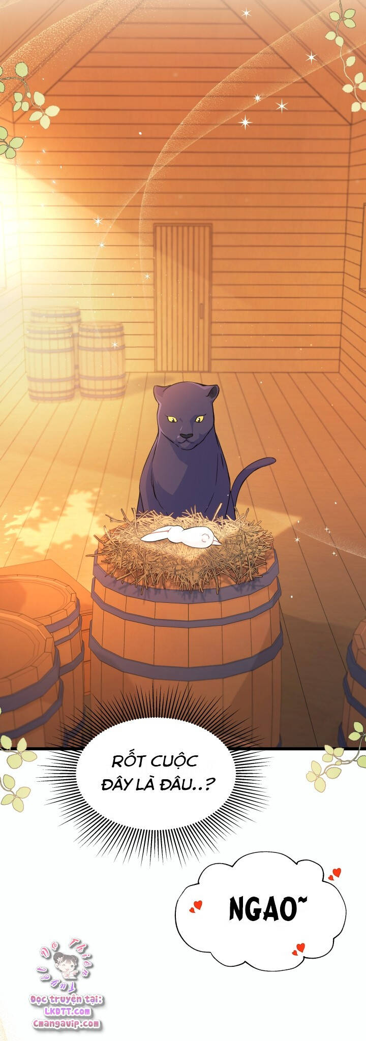 Mối Quan Hệ Cộng Sinh Giữa Báo Đen Và Thỏ Trắng - Chap 28 - Trang 15