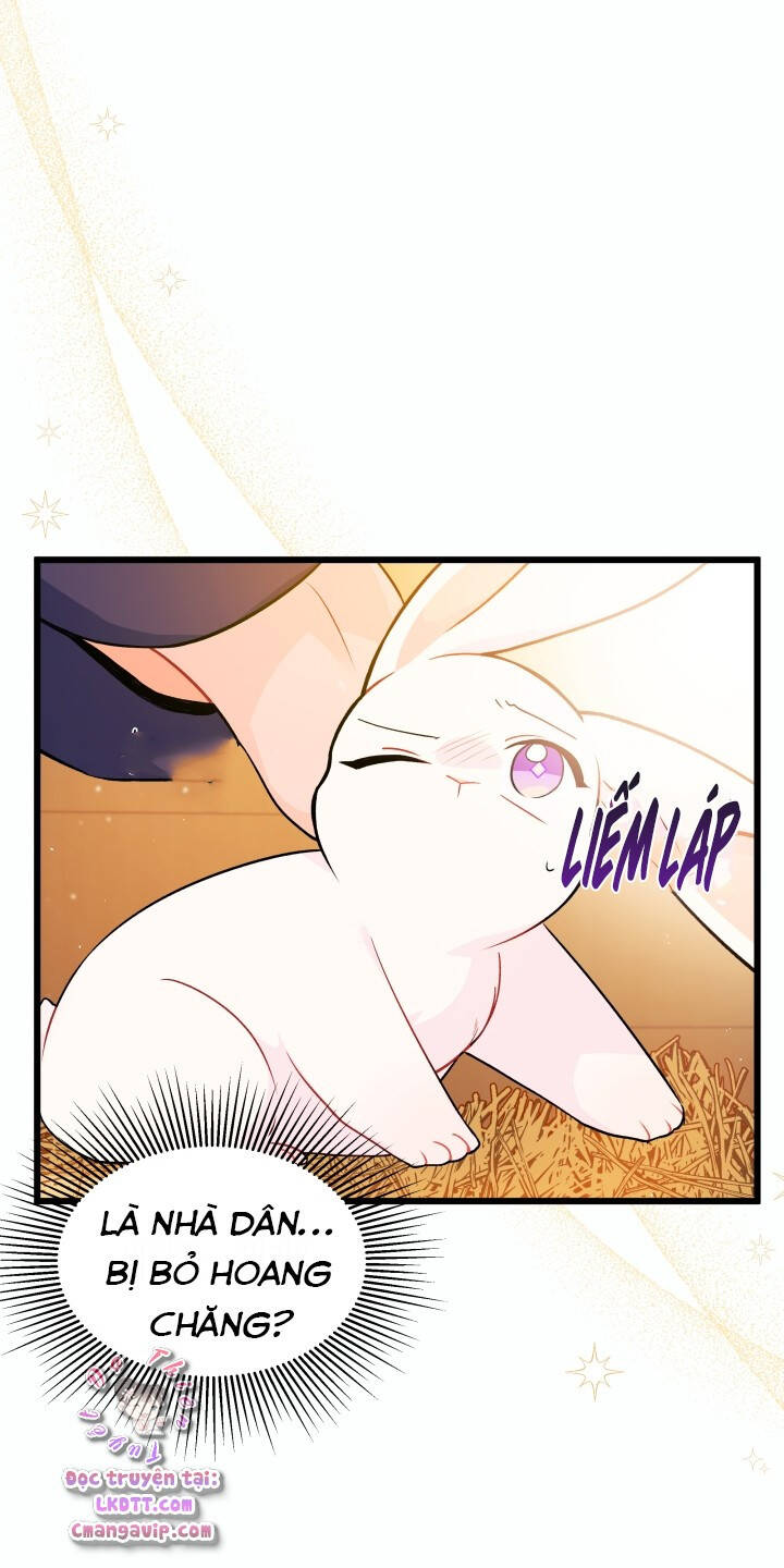 Mối Quan Hệ Cộng Sinh Giữa Báo Đen Và Thỏ Trắng - Chap 28 - Trang 16
