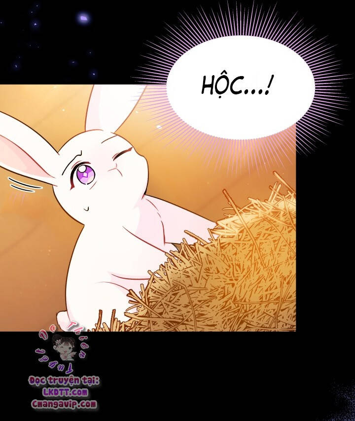 Mối Quan Hệ Cộng Sinh Giữa Báo Đen Và Thỏ Trắng - Chap 28 - Trang 20