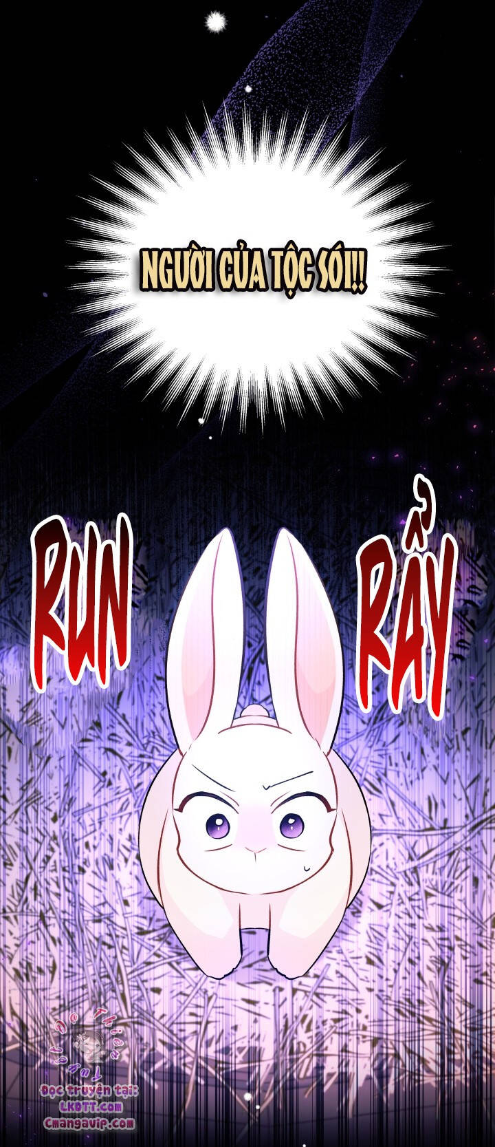Mối Quan Hệ Cộng Sinh Giữa Báo Đen Và Thỏ Trắng - Chap 28 - Trang 26