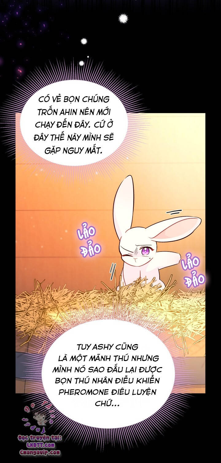 Mối Quan Hệ Cộng Sinh Giữa Báo Đen Và Thỏ Trắng - Chap 28 - Trang 27