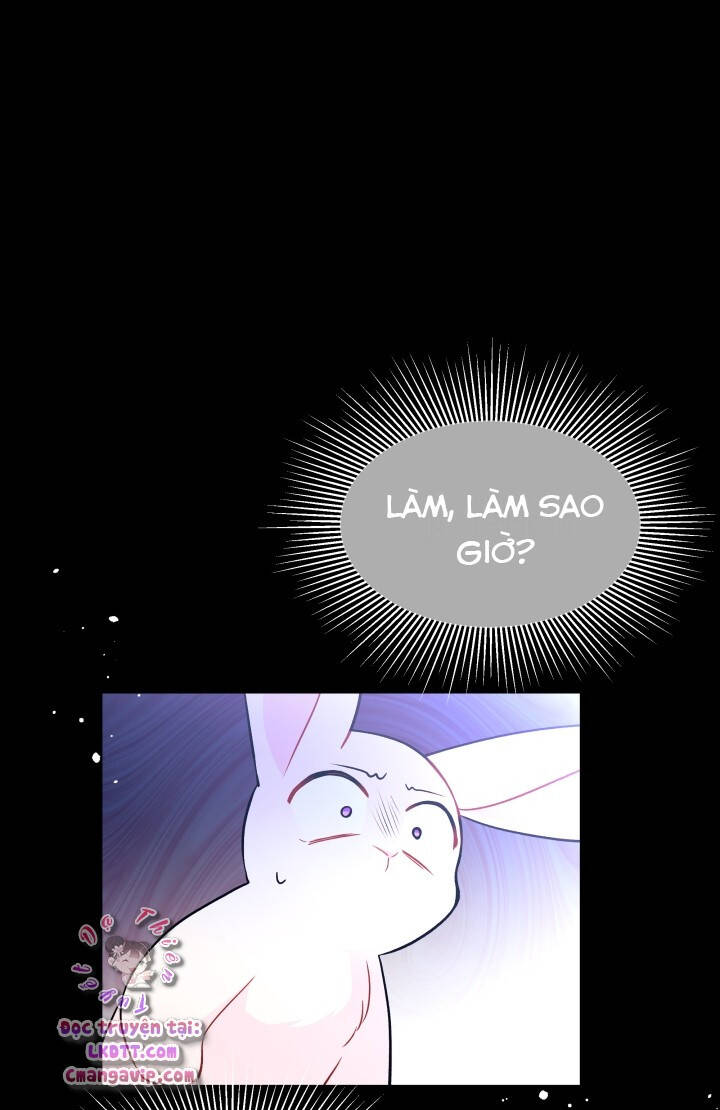 Mối Quan Hệ Cộng Sinh Giữa Báo Đen Và Thỏ Trắng - Chap 28 - Trang 33