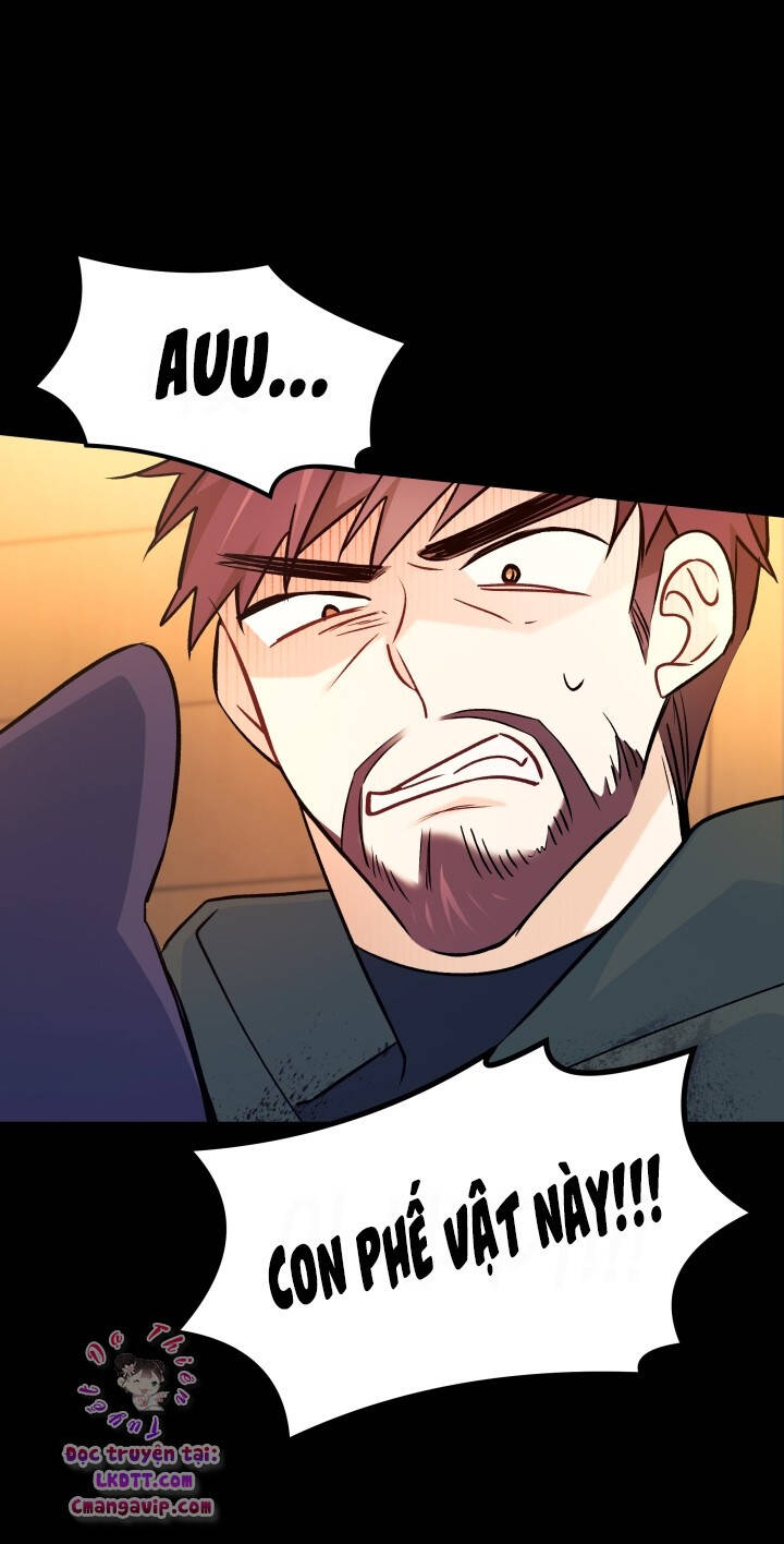 Mối Quan Hệ Cộng Sinh Giữa Báo Đen Và Thỏ Trắng - Chap 28 - Trang 39