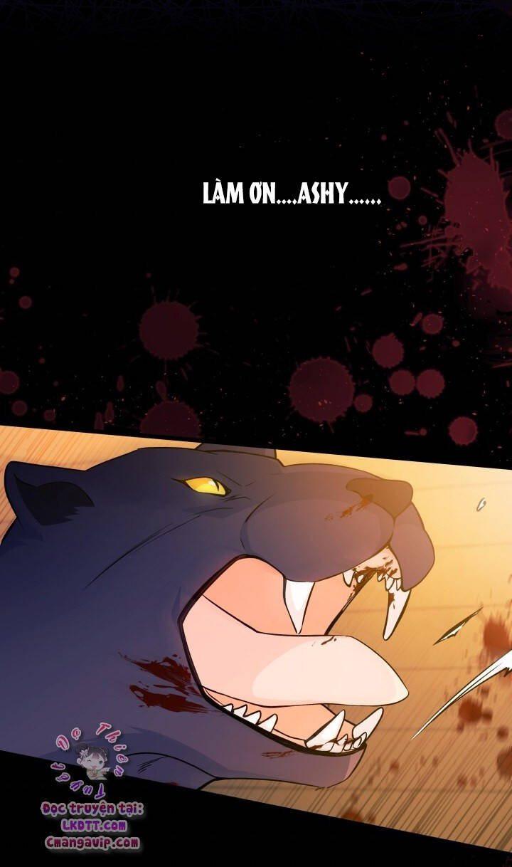 Mối Quan Hệ Cộng Sinh Giữa Báo Đen Và Thỏ Trắng - Chap 28 - Trang 46