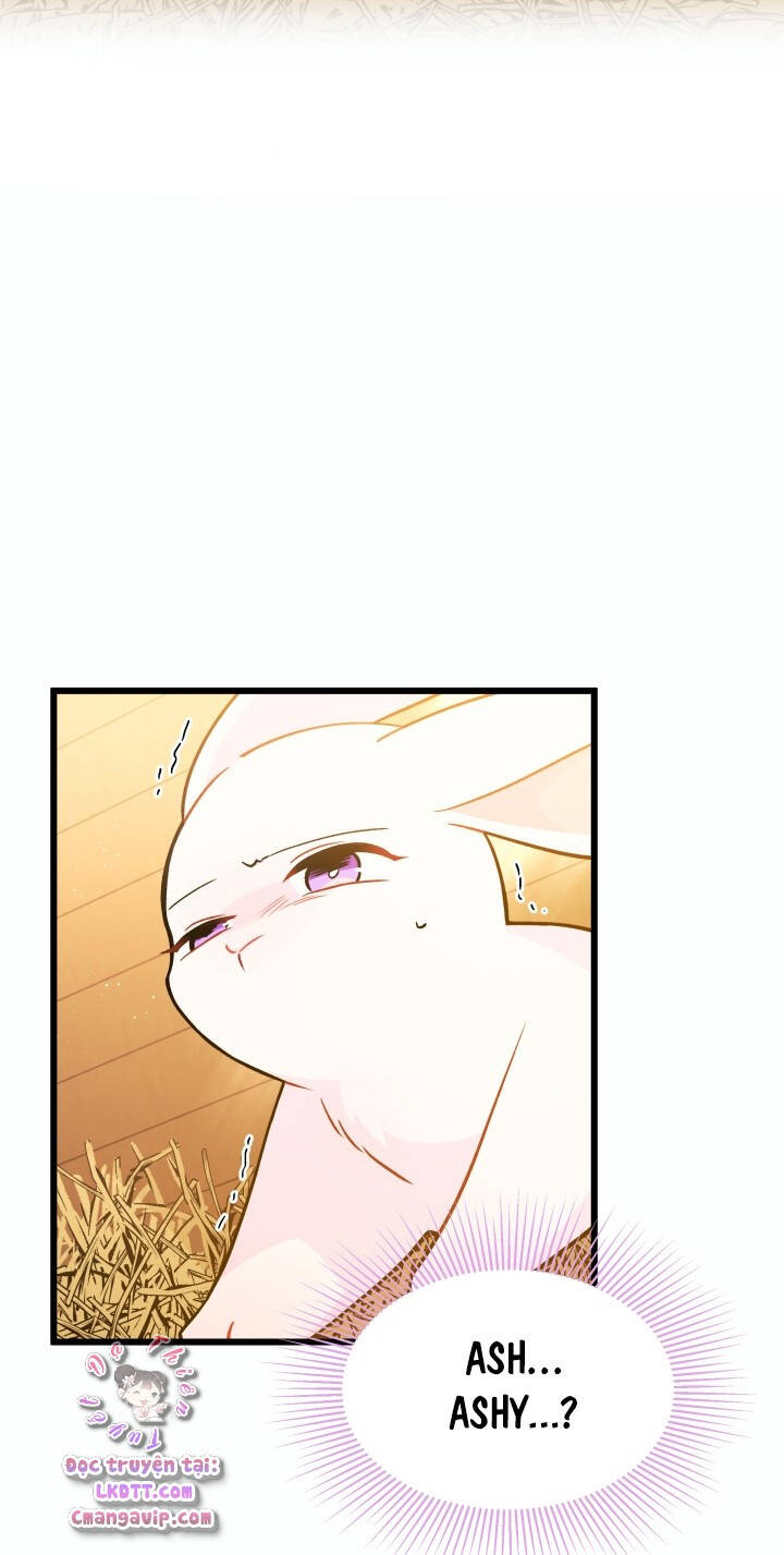 Mối Quan Hệ Cộng Sinh Giữa Báo Đen Và Thỏ Trắng - Chap 28 - Trang 60