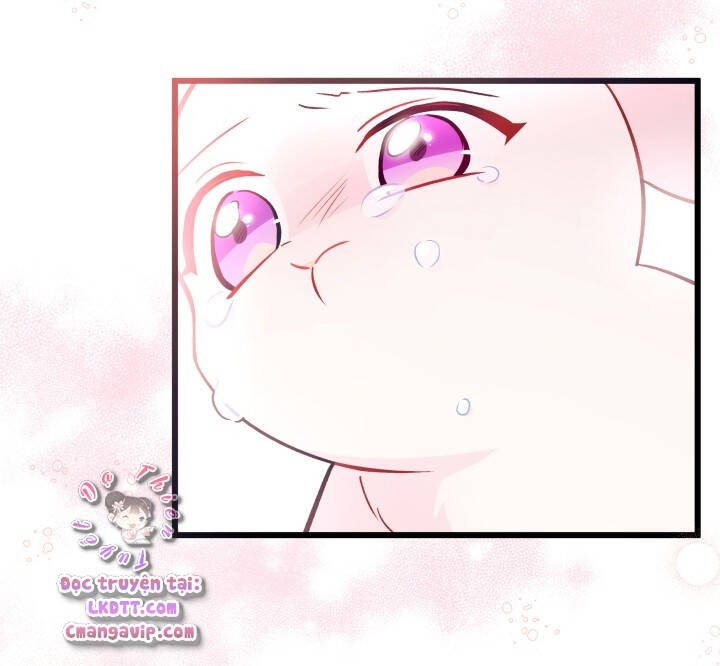 Mối Quan Hệ Cộng Sinh Giữa Báo Đen Và Thỏ Trắng - Chap 28 - Trang 64