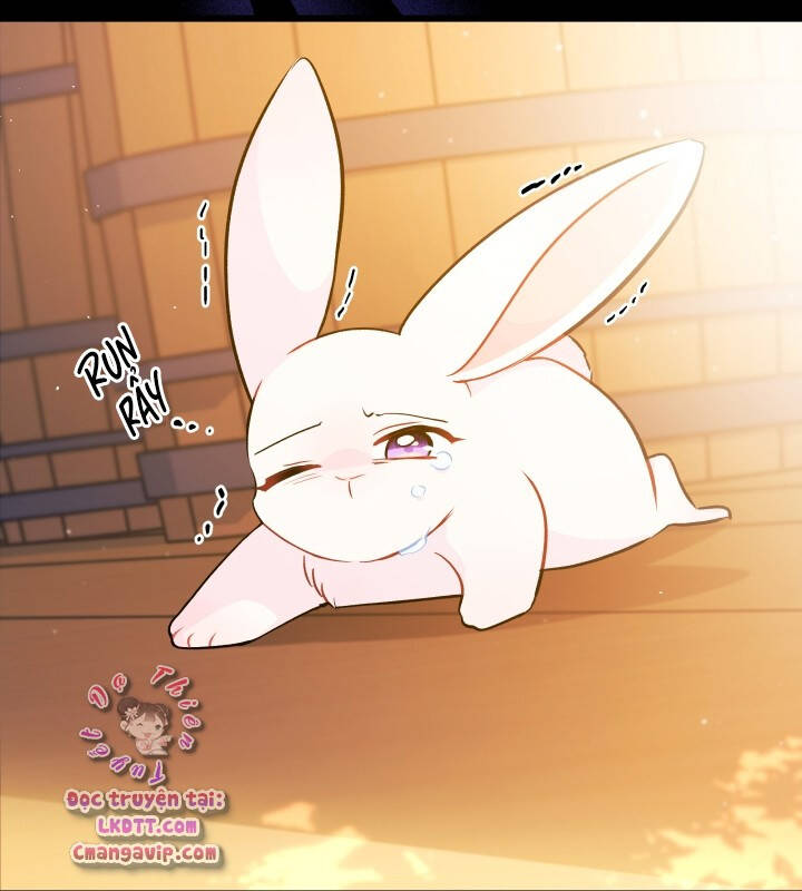 Mối Quan Hệ Cộng Sinh Giữa Báo Đen Và Thỏ Trắng - Chap 28 - Trang 69