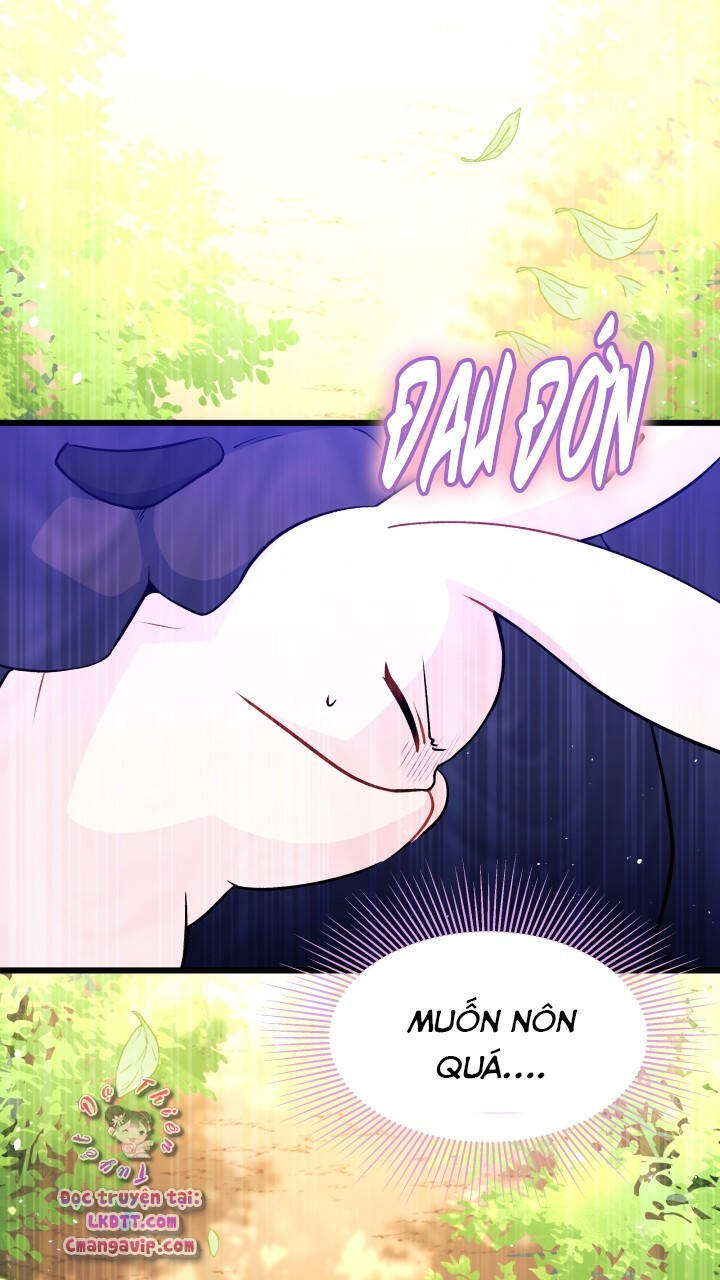 Mối Quan Hệ Cộng Sinh Giữa Báo Đen Và Thỏ Trắng - Chap 28 - Trang 8