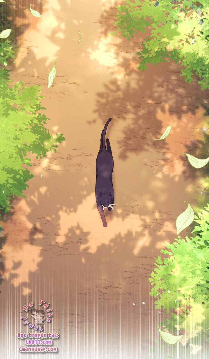 Mối Quan Hệ Cộng Sinh Giữa Báo Đen Và Thỏ Trắng - Chap 28 - Trang 9
