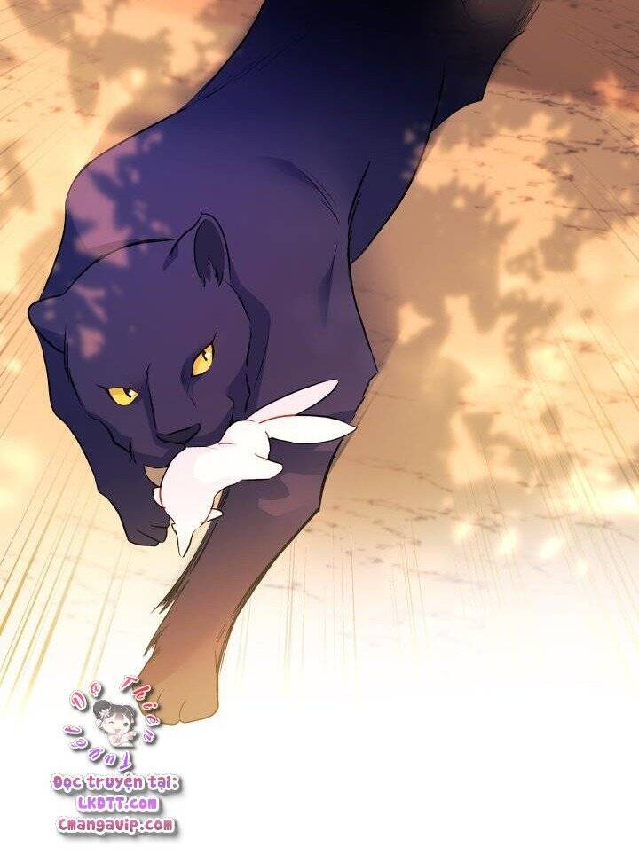 Mối Quan Hệ Cộng Sinh Giữa Báo Đen Và Thỏ Trắng - Chap 29 - Trang 47