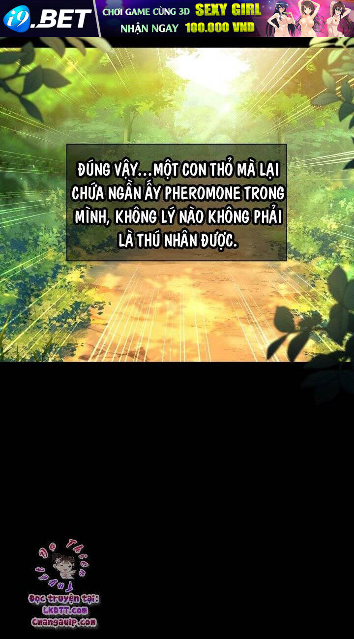 Mối Quan Hệ Cộng Sinh Giữa Báo Đen Và Thỏ Trắng - Chap 29 - Trang 66