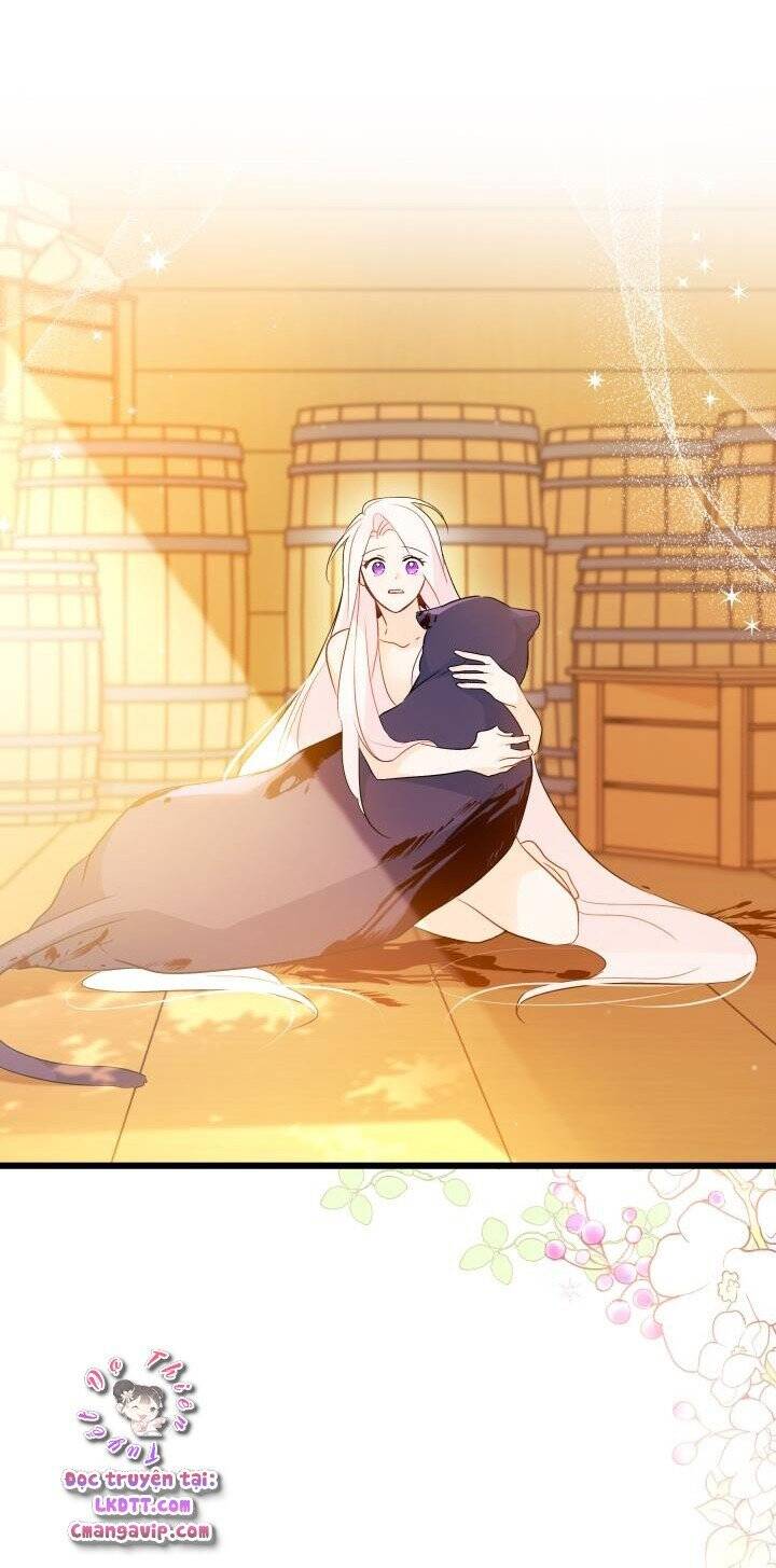 Mối Quan Hệ Cộng Sinh Giữa Báo Đen Và Thỏ Trắng - Chap 29 - Trang 82