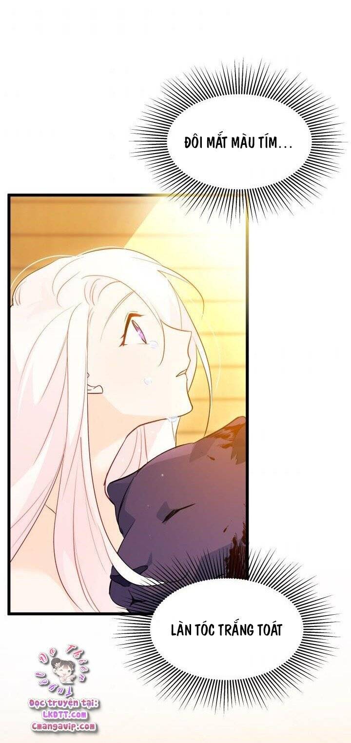 Mối Quan Hệ Cộng Sinh Giữa Báo Đen Và Thỏ Trắng - Chap 29 - Trang 86