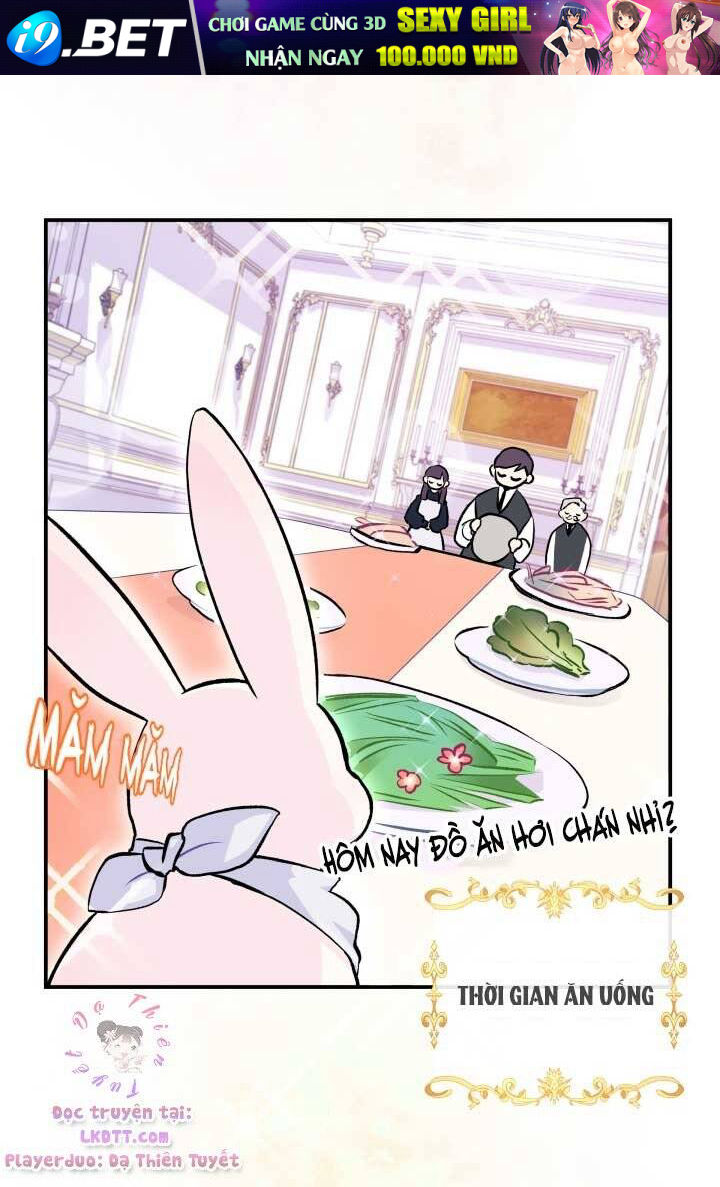 Mối Quan Hệ Cộng Sinh Giữa Báo Đen Và Thỏ Trắng - Chap 3 - Trang 43