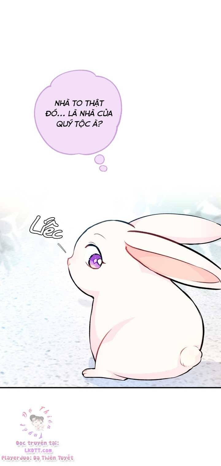 Mối Quan Hệ Cộng Sinh Giữa Báo Đen Và Thỏ Trắng - Chap 3 - Trang 45