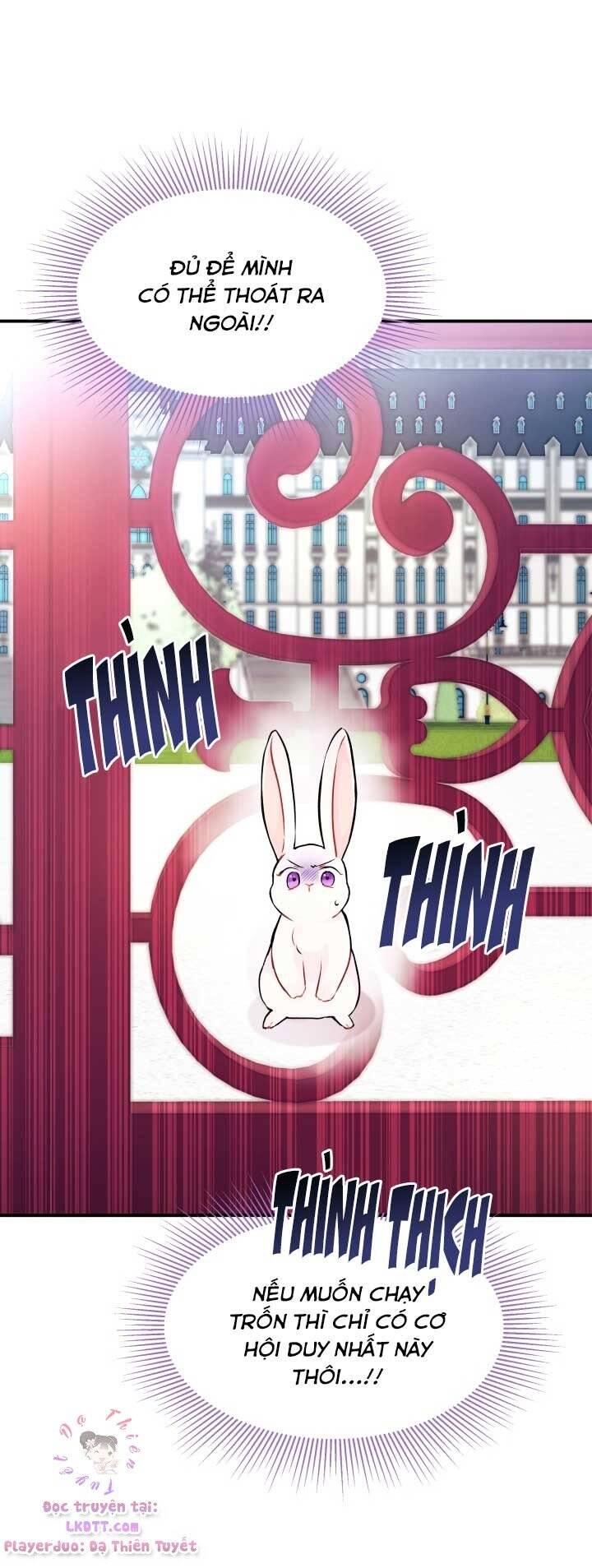 Mối Quan Hệ Cộng Sinh Giữa Báo Đen Và Thỏ Trắng - Chap 3 - Trang 52