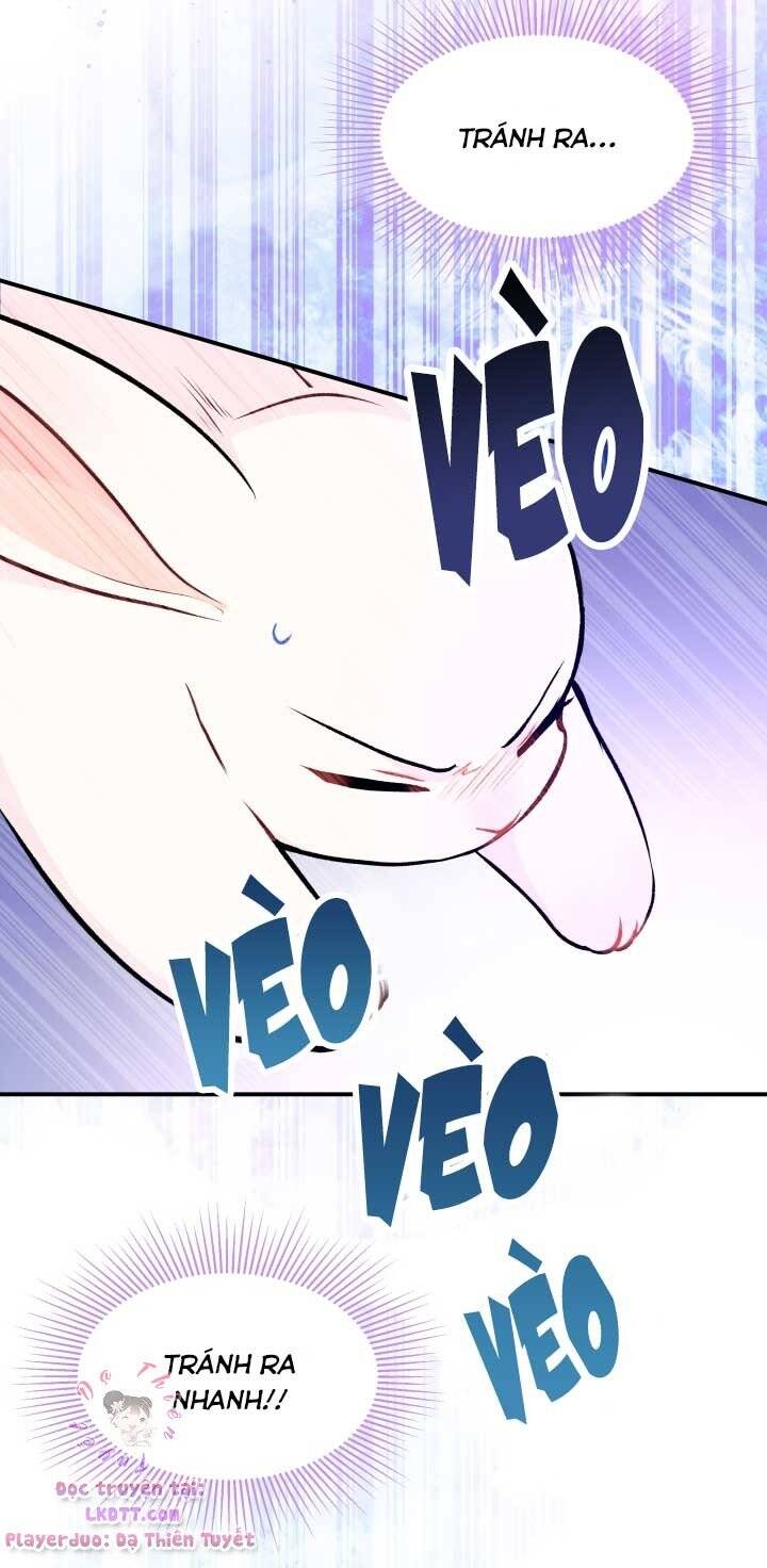 Mối Quan Hệ Cộng Sinh Giữa Báo Đen Và Thỏ Trắng - Chap 3 - Trang 57