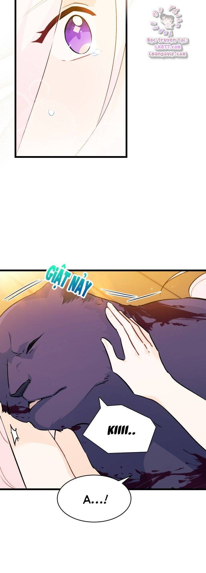 Mối Quan Hệ Cộng Sinh Giữa Báo Đen Và Thỏ Trắng - Chap 30 - Trang 11