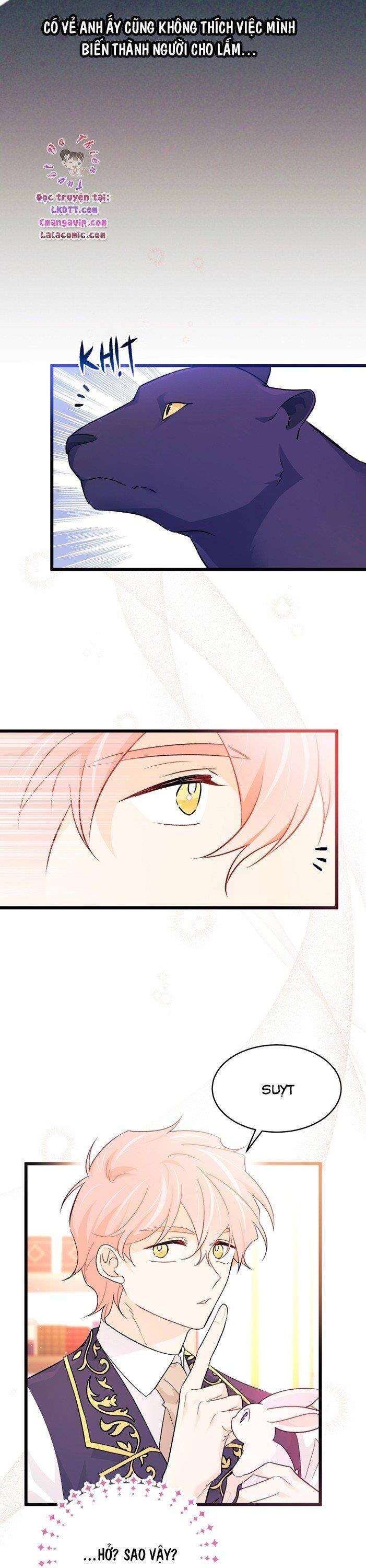 Mối Quan Hệ Cộng Sinh Giữa Báo Đen Và Thỏ Trắng - Chap 32 - Trang 33