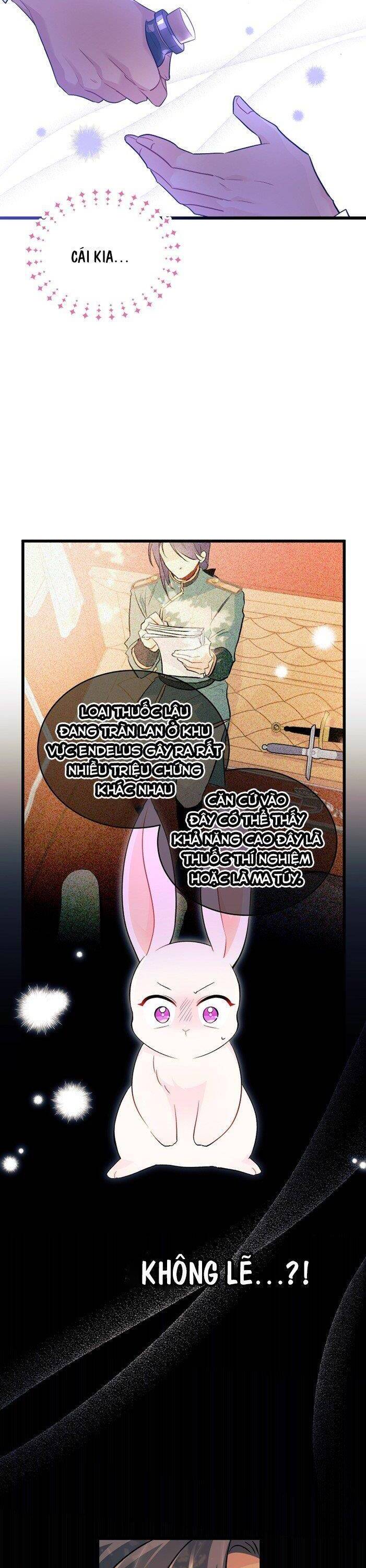 Mối Quan Hệ Cộng Sinh Giữa Báo Đen Và Thỏ Trắng - Chap 32 - Trang 37