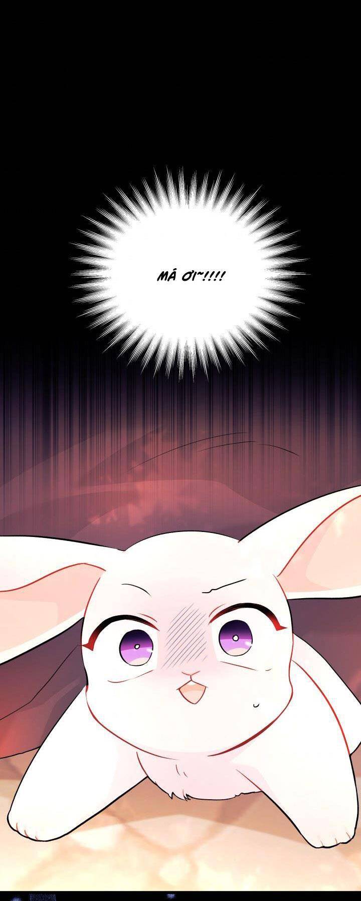 Mối Quan Hệ Cộng Sinh Giữa Báo Đen Và Thỏ Trắng - Chap 33 - Trang 11