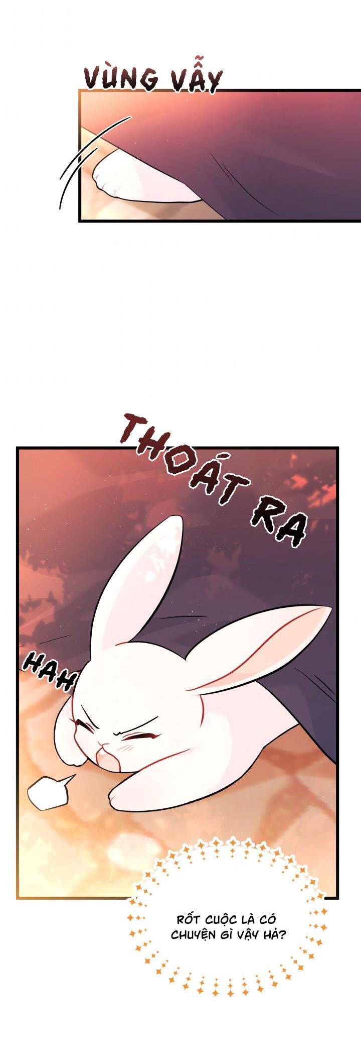 Mối Quan Hệ Cộng Sinh Giữa Báo Đen Và Thỏ Trắng - Chap 33 - Trang 5