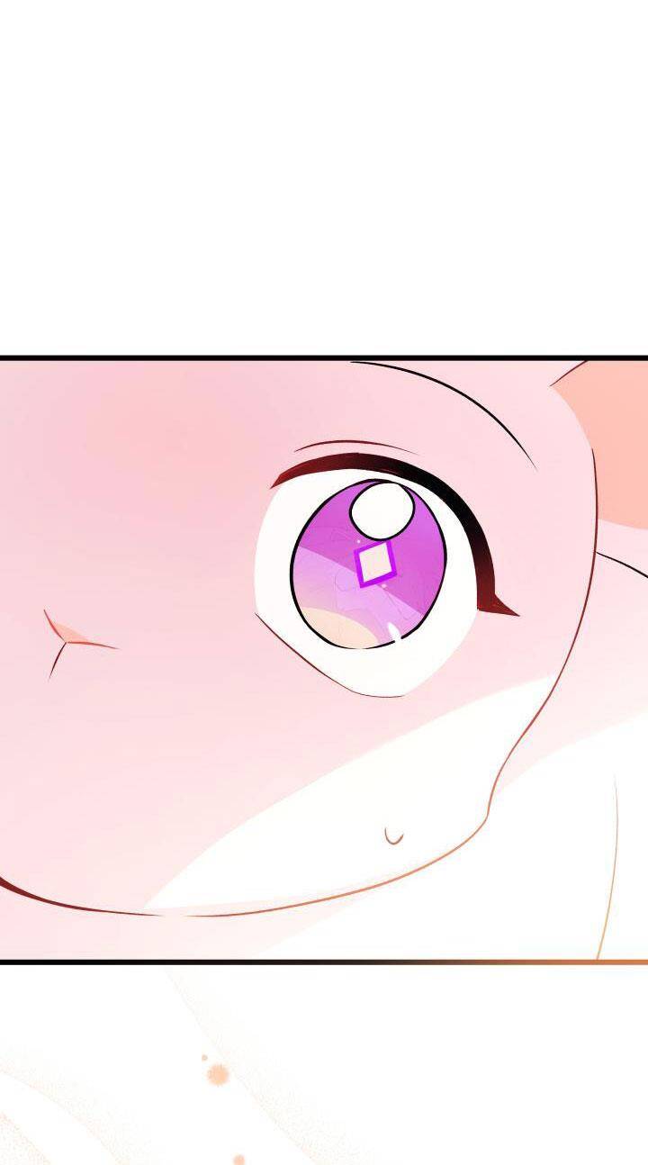 Mối Quan Hệ Cộng Sinh Giữa Báo Đen Và Thỏ Trắng - Chap 33 - Trang 7