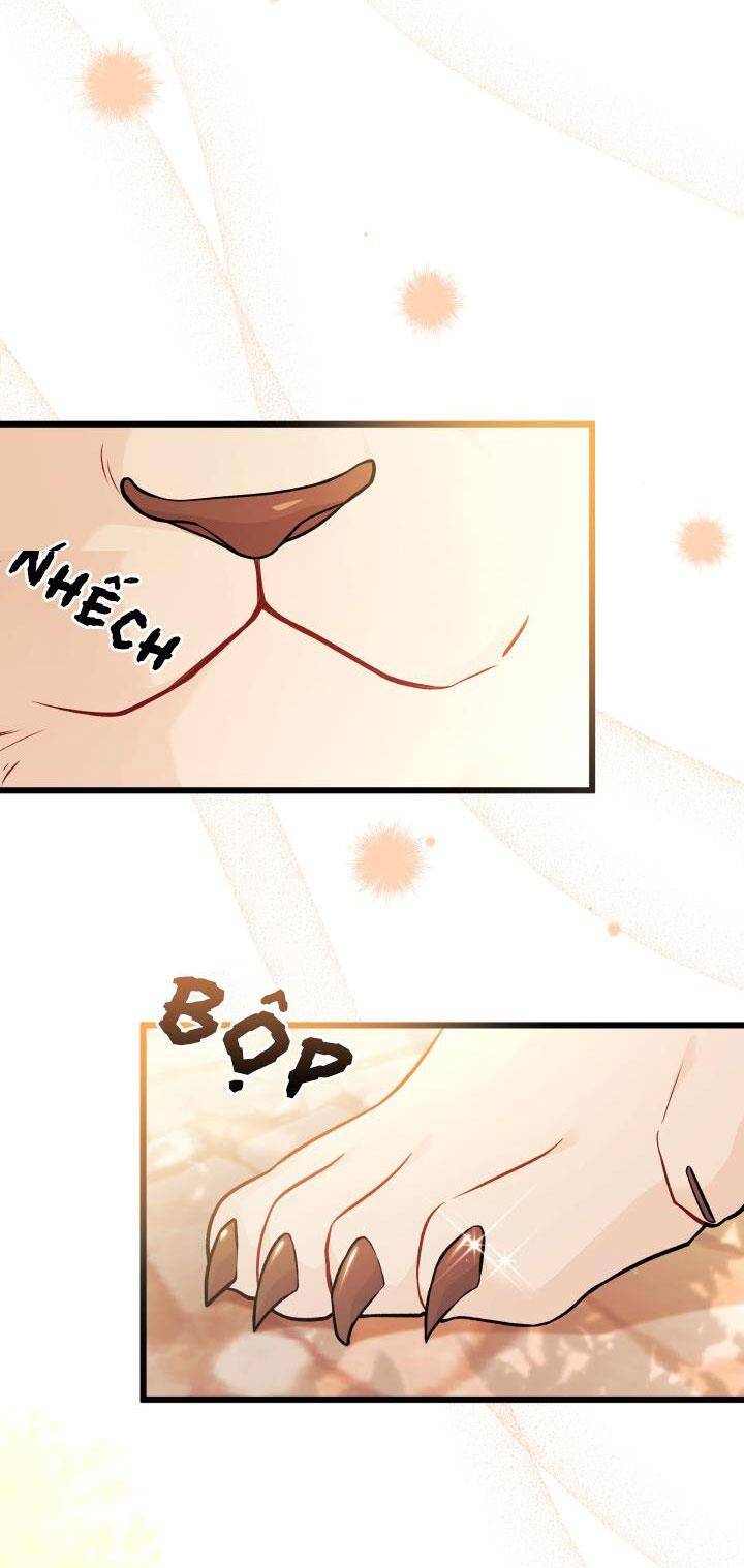 Mối Quan Hệ Cộng Sinh Giữa Báo Đen Và Thỏ Trắng - Chap 33 - Trang 8