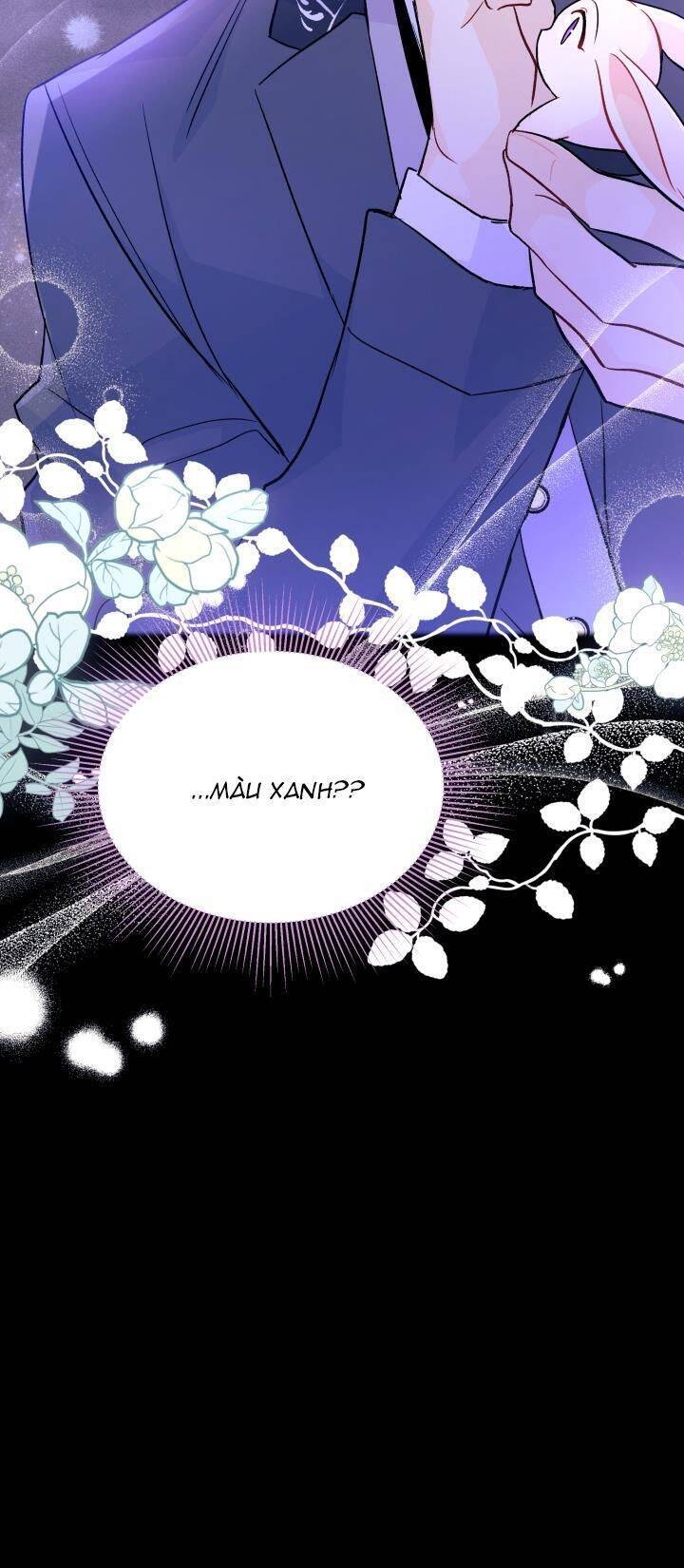 Mối Quan Hệ Cộng Sinh Giữa Báo Đen Và Thỏ Trắng - Chap 34 - Trang 73